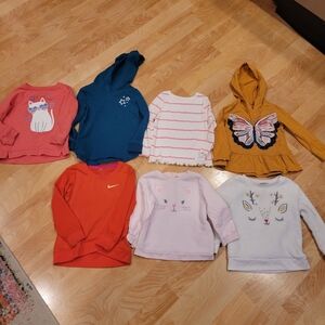 Toddler Girl Long Sleeve Top Sweatshirt Bundle Size 2T 24 Months